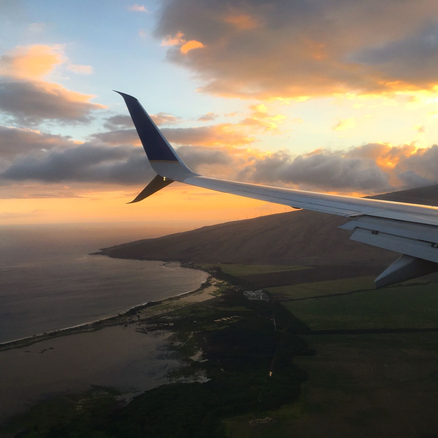 Landing in paradise